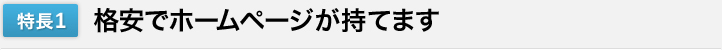 特長1　格安でホームページが持てます